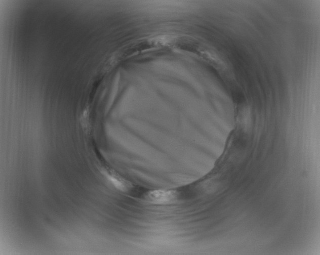 X0000068840526200605191929