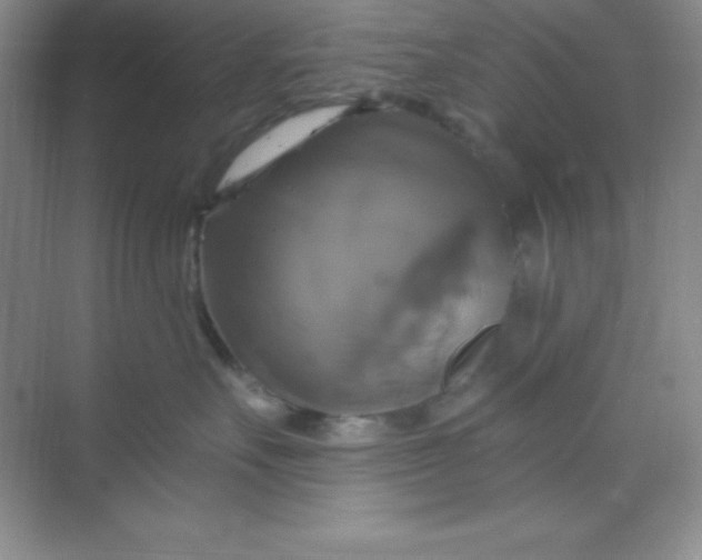 X0000068840527200605191929