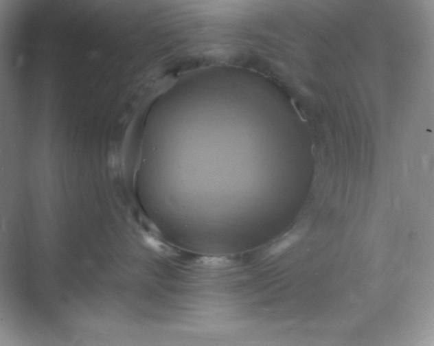 X0000068840528200605191929