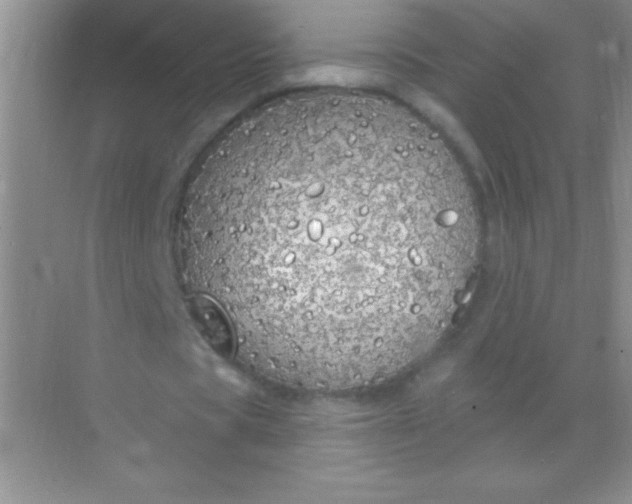 X0000068840529200605191928