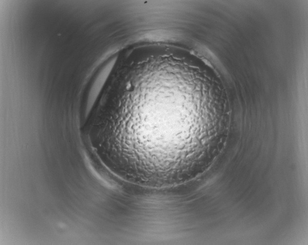 X0000068840530200605191928