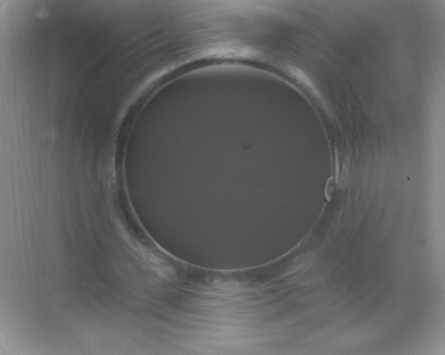 X0000068840531200605191928