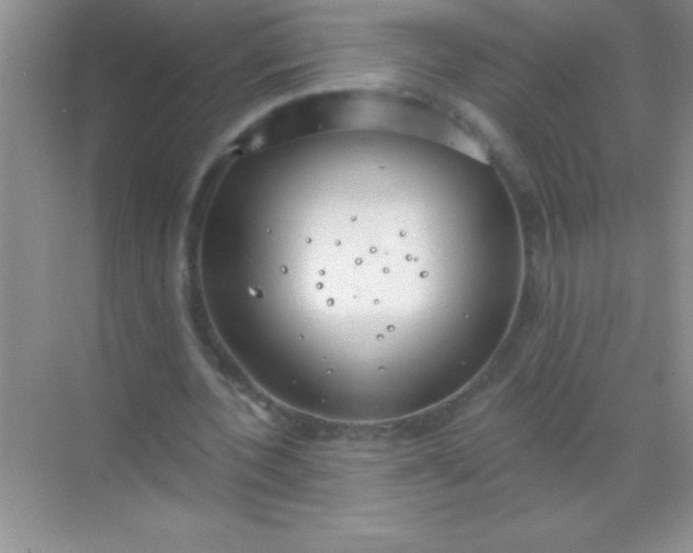 X0000068840532200605191928