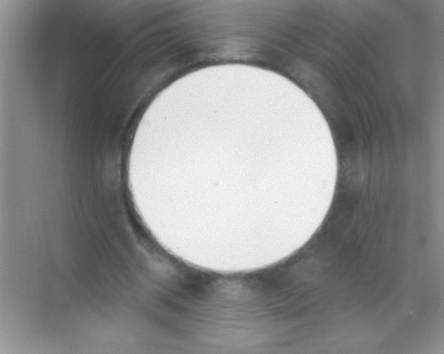 X0000068840534200605191928