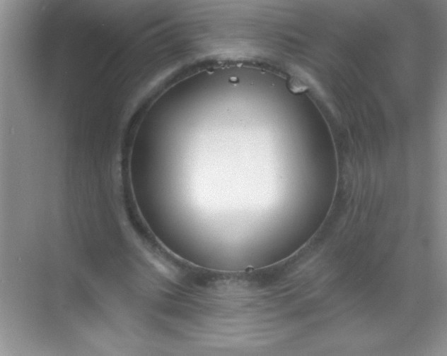 X0000068840535200605191928