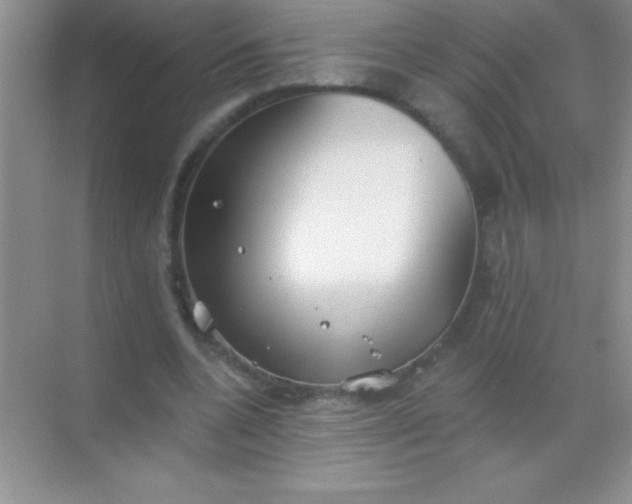 X0000068840536200605191928