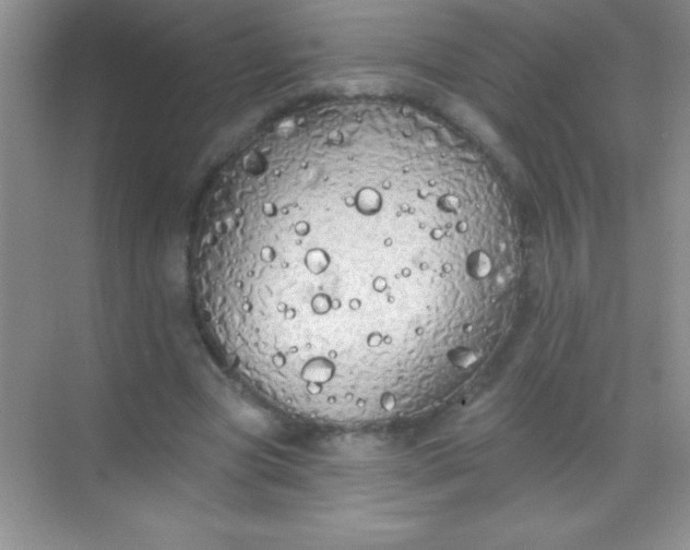 X0000068840537200605191928