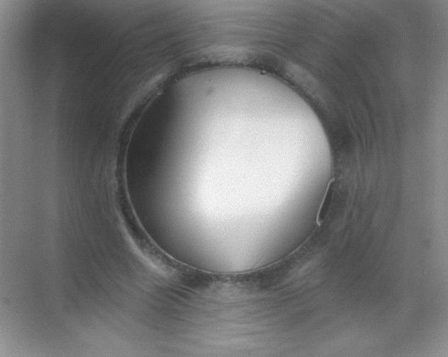 X0000068840538200605191928