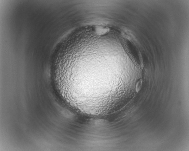 X0000068840539200605191928