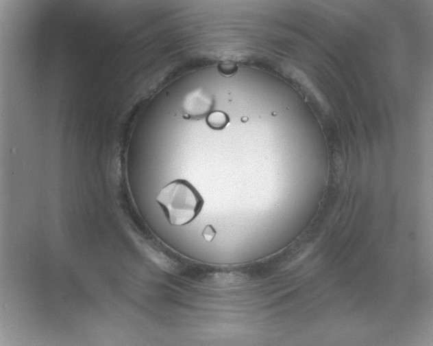 X0000068840541200605191928