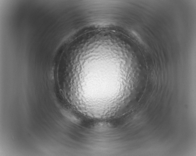 X0000068840543200605191928