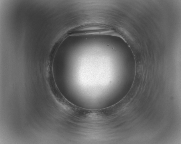 X0000068840544200605191928