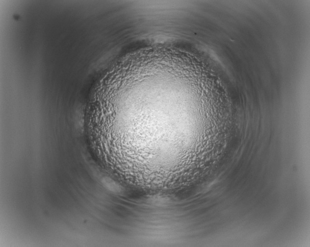 X0000068840545200605191928