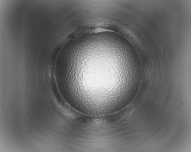 X0000068840546200605191928