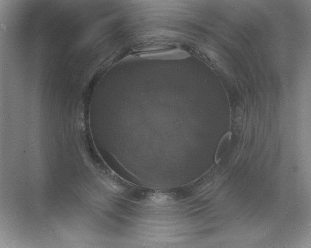 X0000068840547200605191928