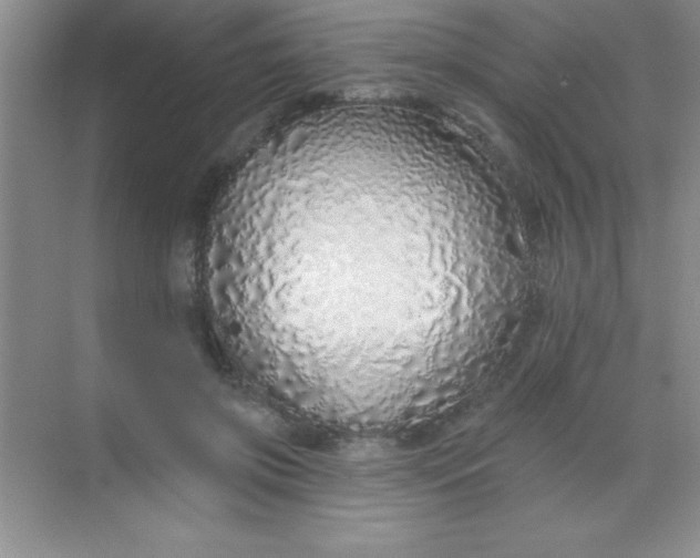 X0000068840549200605191928