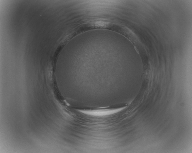 X0000068840552200605191928