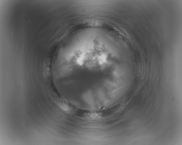 X0000068840553200605191928