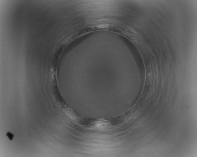 X0000068840555200605191928