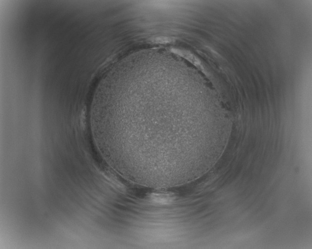 X0000068840556200605191928