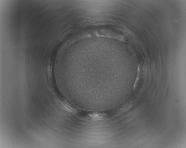 X0000068840558200605191928