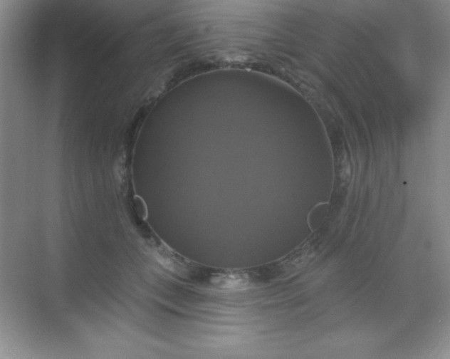 X0000068840559200605191928