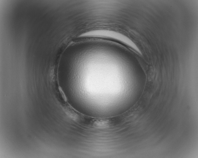 X0000068840560200605191928