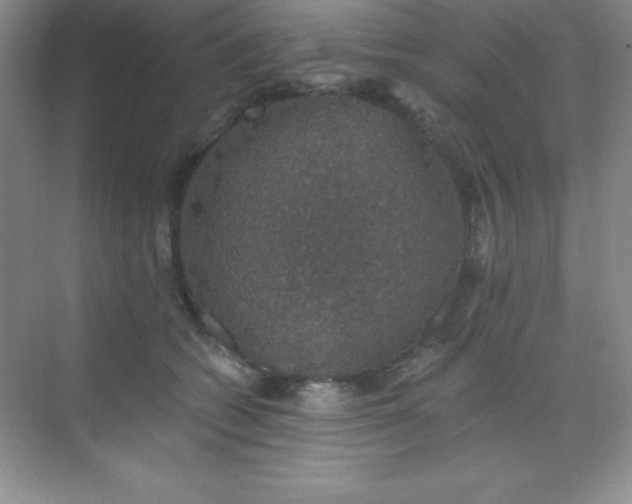 X0000068840562200605191928