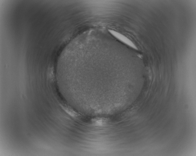 X0000068840564200605191928