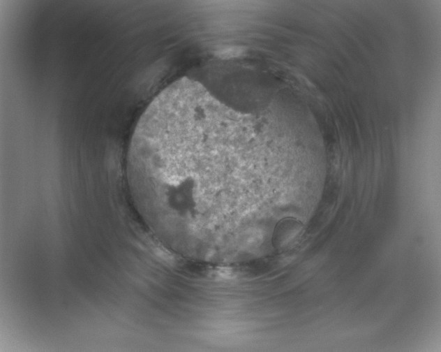 X0000068840565200605191928