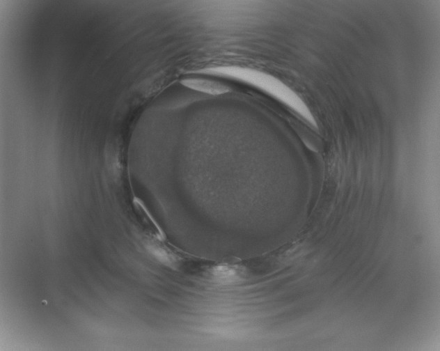 X0000068840566200605191928