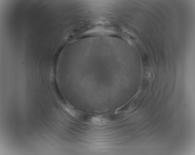 X0000068840568200605191928