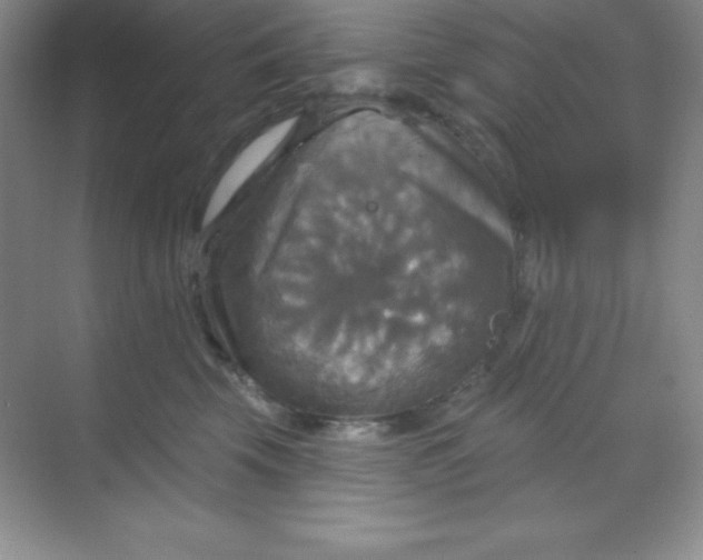 X0000068840569200605191928