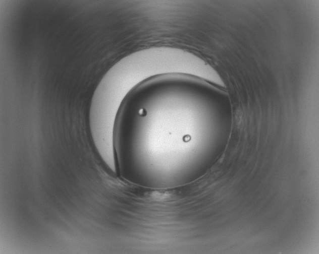 X0000068840570200605191928