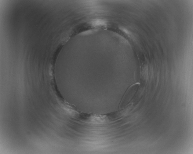 X0000068840571200605191928