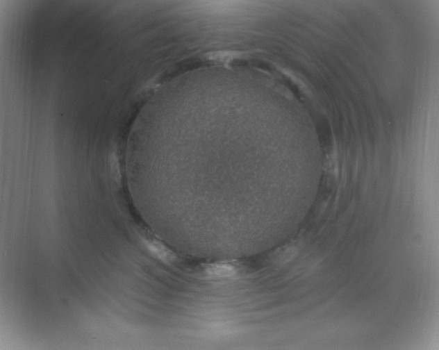 X0000068840572200605191928