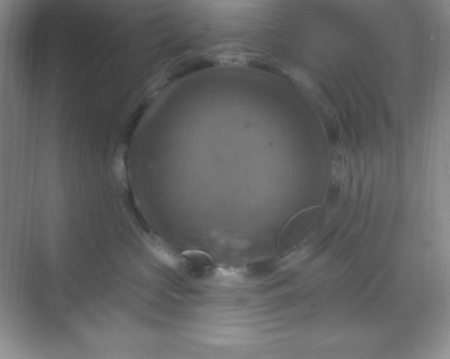 X0000068840573200605191928