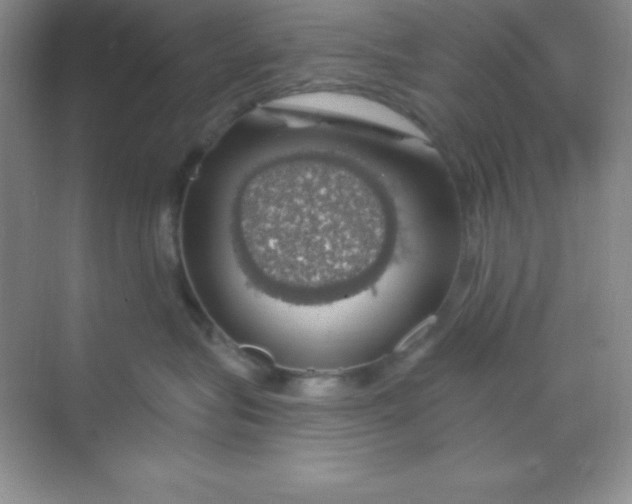 X0000068840575200605191929