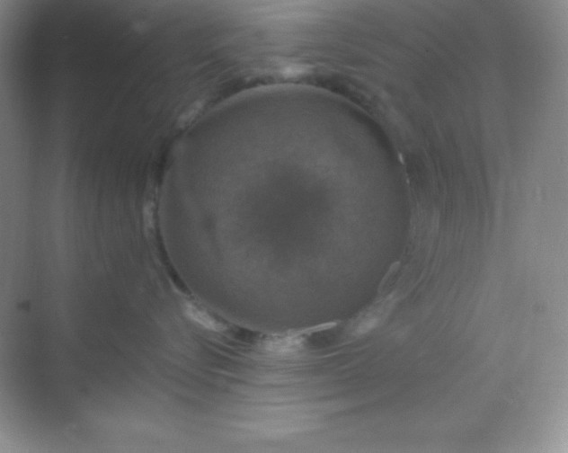 X0000068840576200605191929