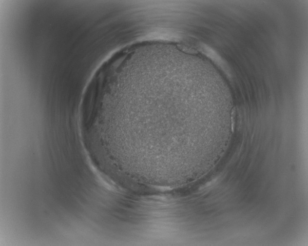 X0000068840580200605191928