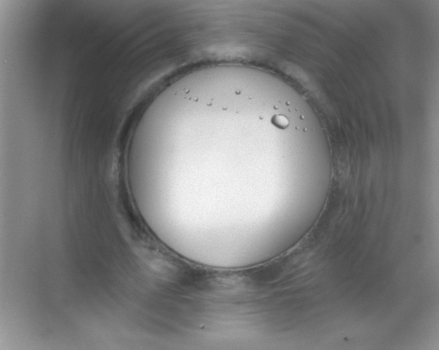 X0000068840583200605191928