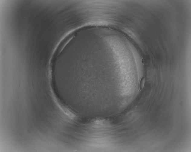 X0000068840584200605191928