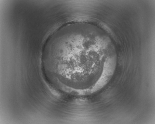 X0000068840586200605191928