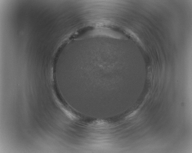 X0000068840589200605191928