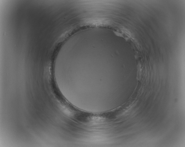 X0000068840590200605191928