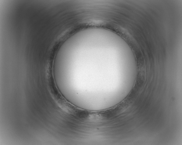 X0000068840591200605191927