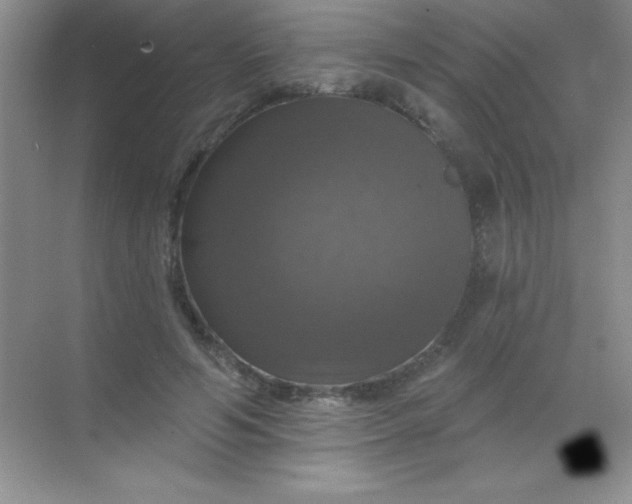 X0000068840594200605191927