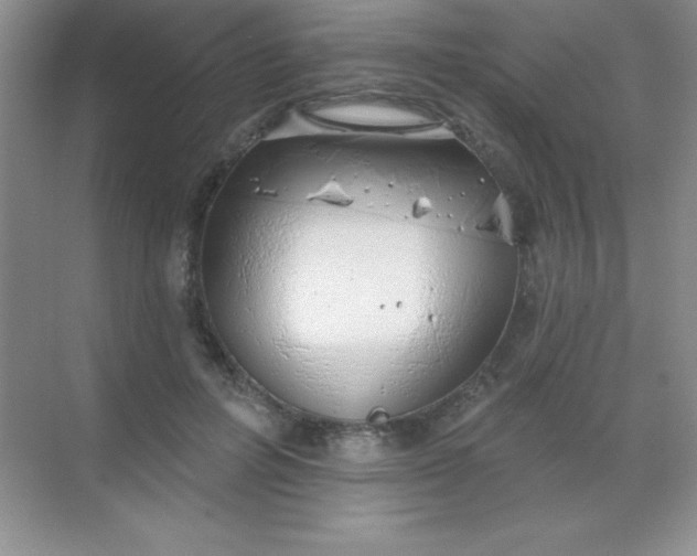 X0000068840600200605191927