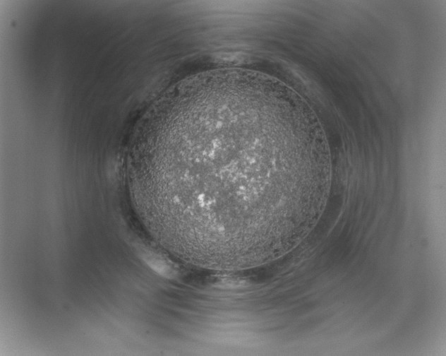 X0000068840601200605191927