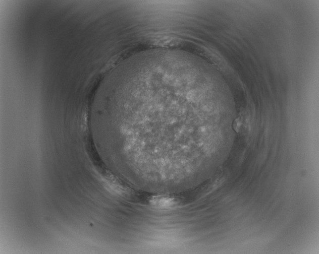 X0000068840602200605191927